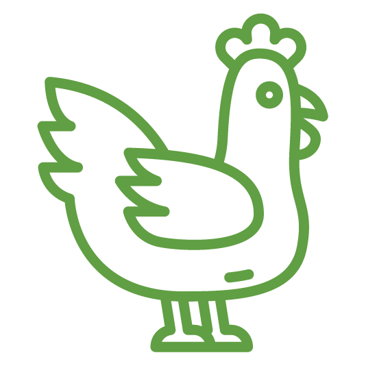 AGRICULTURE OUTLINE_CHICKEN AGRICULTURE OUTLINE_CHICKEN